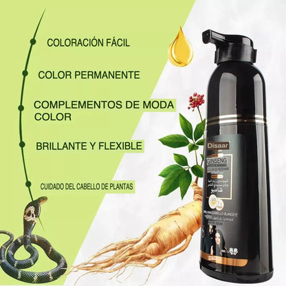 Champú Tinte Nutritivo Para El Cabello Color Negro ¡PROMOCIÓN!